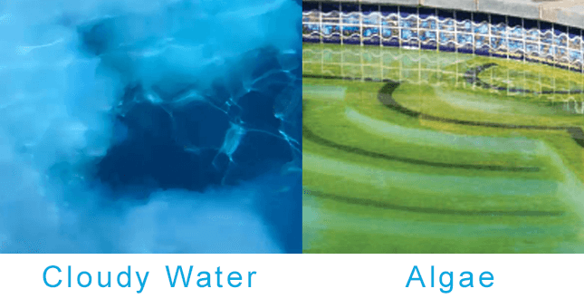 Samples of =cloudy water and algae